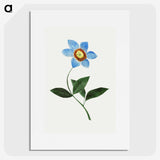 1-41_Cleveland-Museum-of-Art_picture