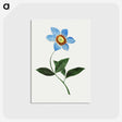 1-41_Cleveland-Museum-of-Art_postcard