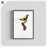 1-41_Des-Oiseaux-de-Paradis_blk-crop