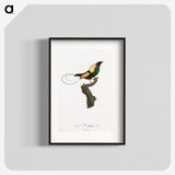 1-41_Des-Oiseaux-de-Paradis_blk