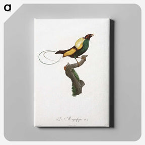 1-41_Des-Oiseaux-de-Paradis_canvas