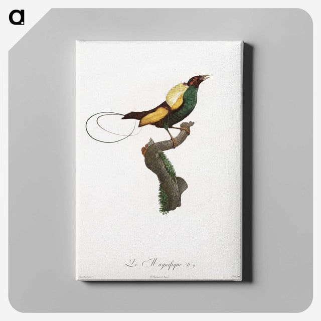 1-41_Des-Oiseaux-de-Paradis_canvas