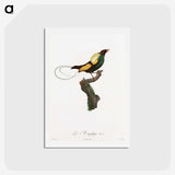 1-41_Des-Oiseaux-de-Paradis_hagaki
