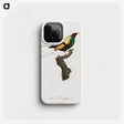 1-41_Des-Oiseaux-de-Paradis_phone