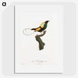 1-41_Des-Oiseaux-de-Paradis_picture