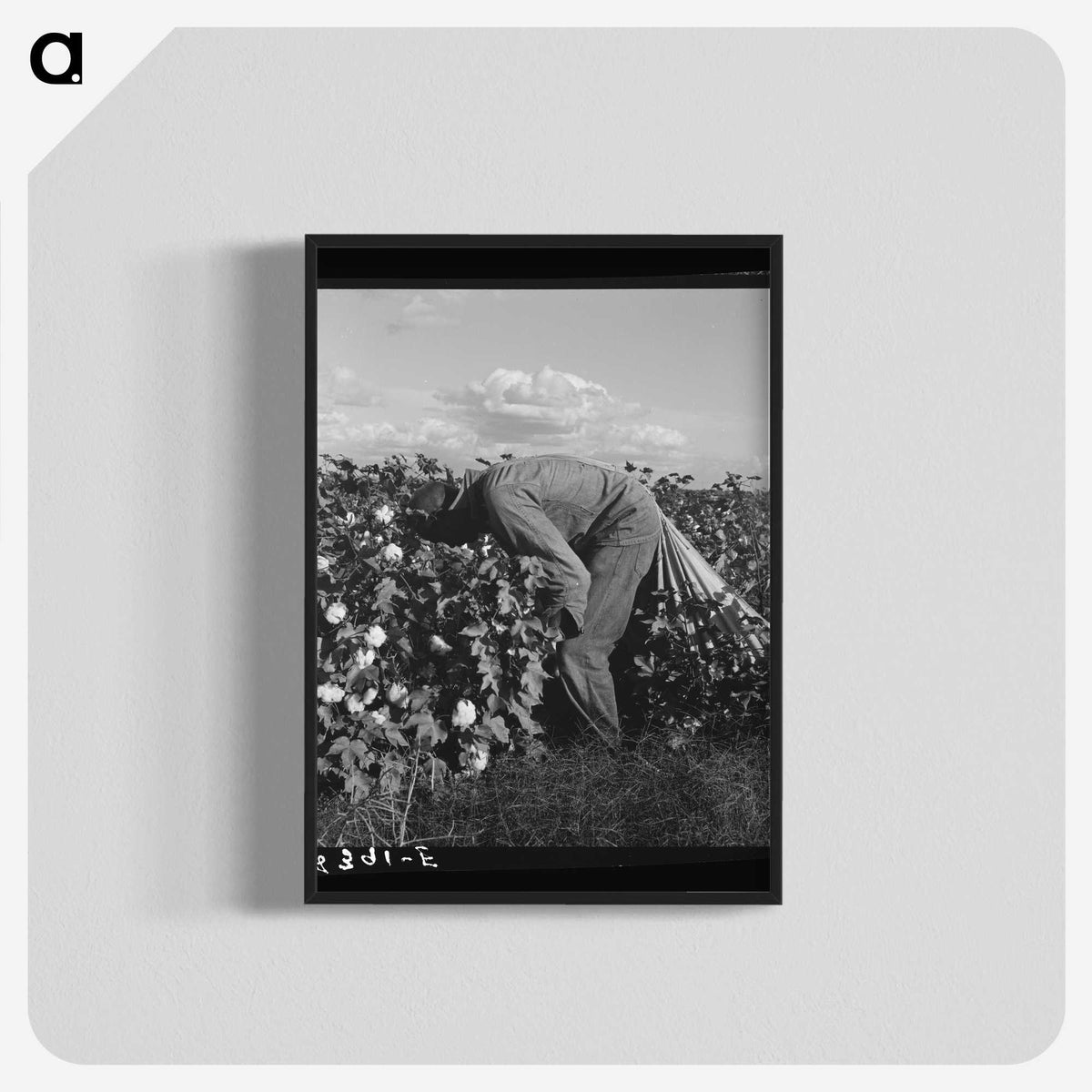 1-41_Dorothea-Lange_blk-crop