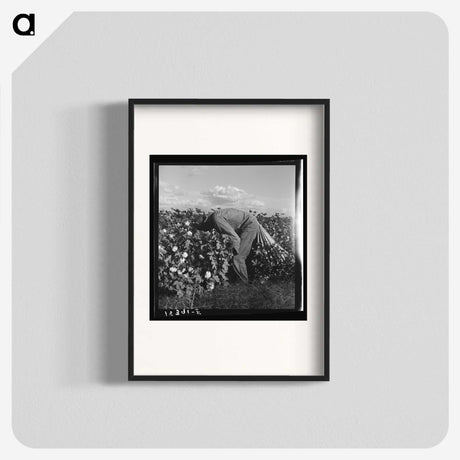 1-41_Dorothea-Lange_blk