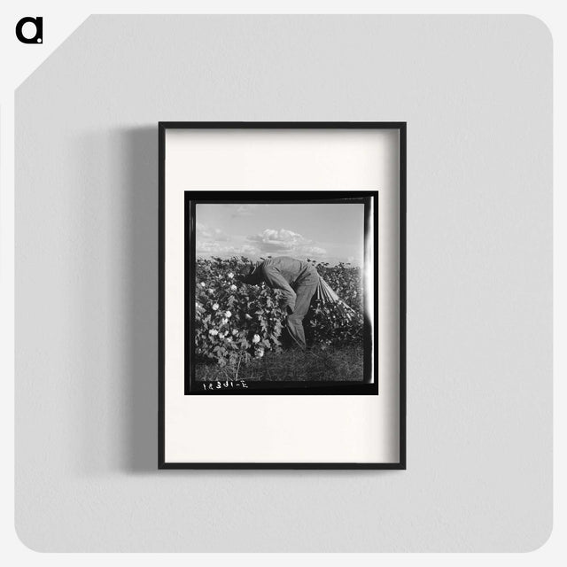 1-41_Dorothea-Lange_blk
