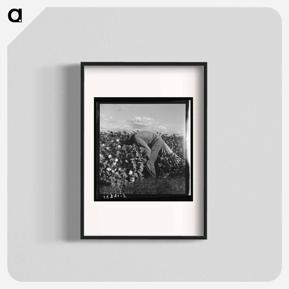 Untitled photo - Dorothea Lange Poster.