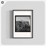 Untitled photo - Dorothea Lange Poster.