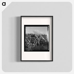 アートポスター-Untitled photo - ドロテア ラング Poster.