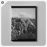 1-41_Dorothea-Lange_canvas