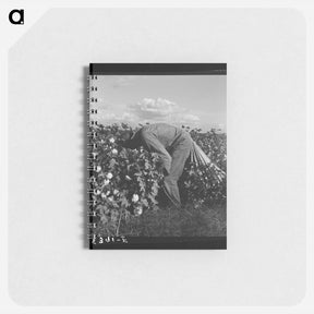 アートメモ帳-Untitled photo - ドロテア ラング Memo.