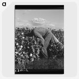 1-41_Dorothea-Lange_picture-crop