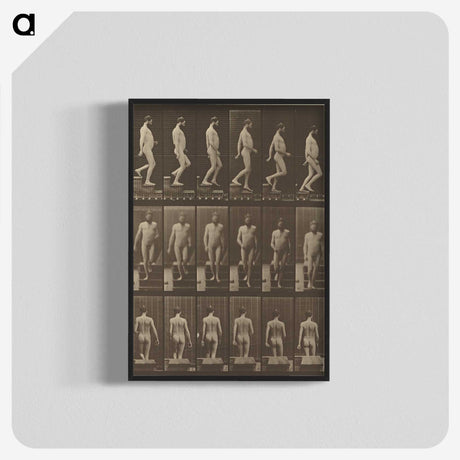 1-41_Eadweard-Muybridge_blk-crop