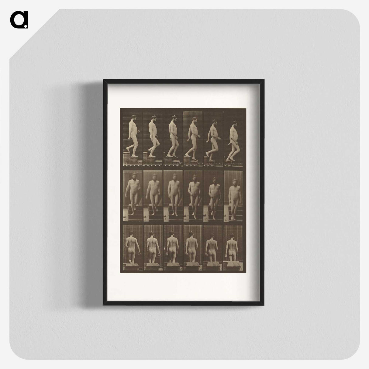 1-41_Eadweard-Muybridge_blk