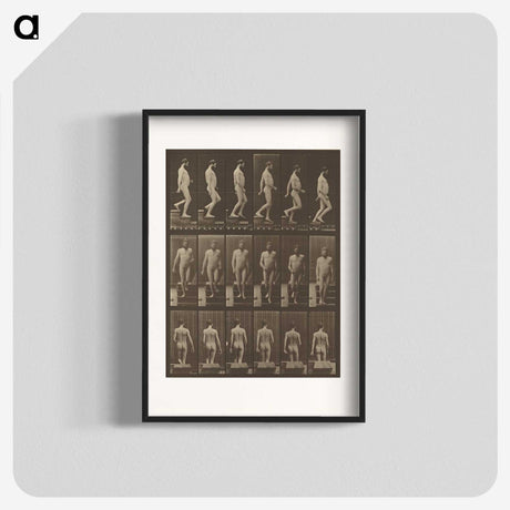 1-41_Eadweard-Muybridge_blk