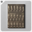 1-41_Eadweard-Muybridge_canvas