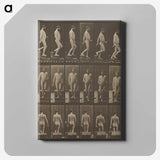 1-41_Eadweard-Muybridge_canvas