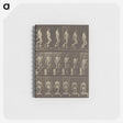 1-41_Eadweard-Muybridge_memo