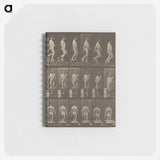 1-41_Eadweard-Muybridge_memo