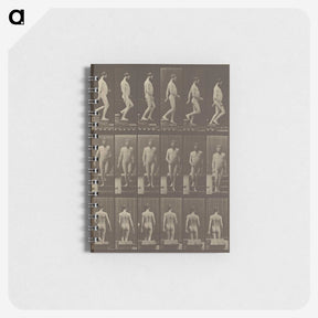 1-41_Eadweard-Muybridge_memo