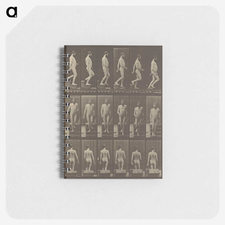 1-41_Eadweard-Muybridge_memo