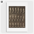 1-41_Eadweard-Muybridge_picture