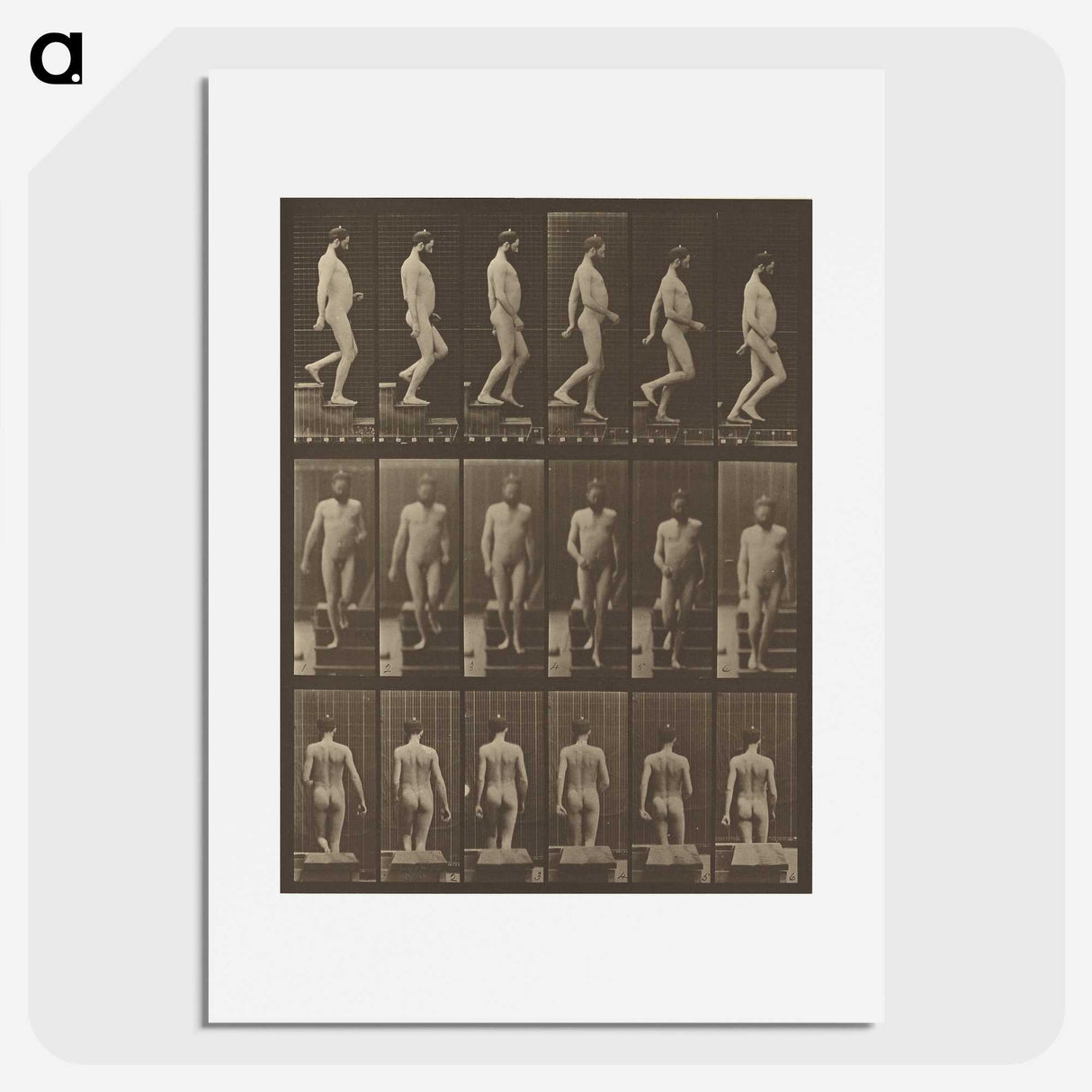 1-41_Eadweard-Muybridge_picture
