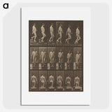 1-41_Eadweard-Muybridge_picture
