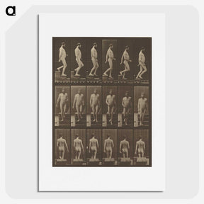 1-41_Eadweard-Muybridge_picture