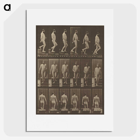 1-41_Eadweard-Muybridge_picture