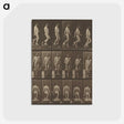 1-41_Eadweard-Muybridge_postcard