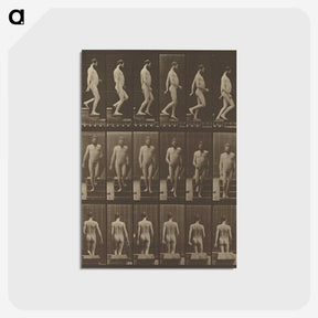 1-41_Eadweard-Muybridge_postcard