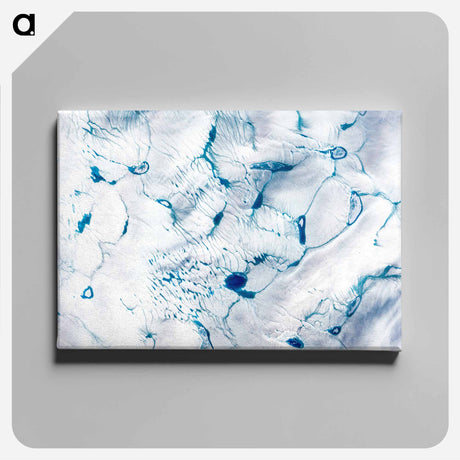 アートパネル-Early Melt on the Greenland Ice Sheet
 - 上空からの地球 Canvas.
