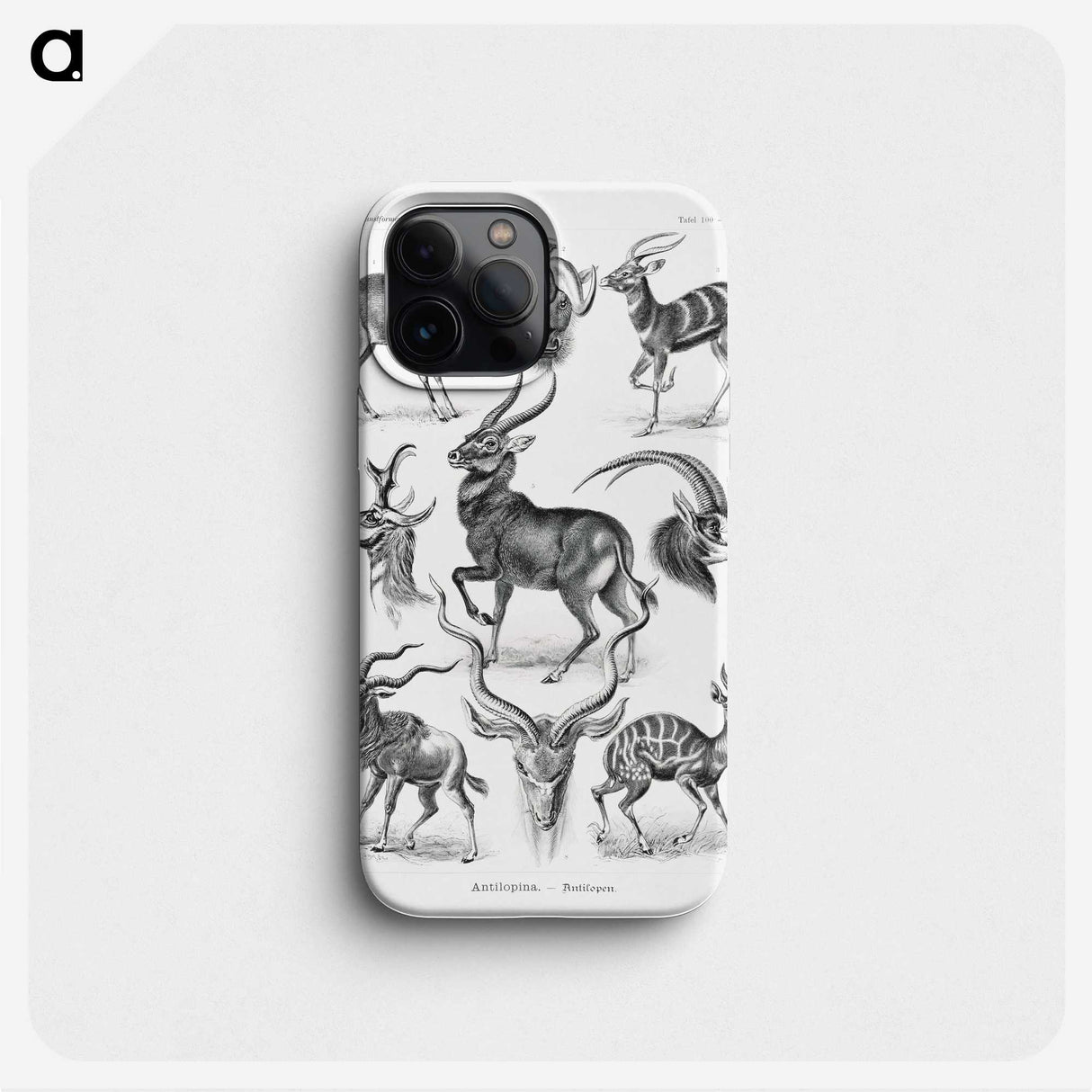 1-41_Ernst-Haeckel_phone