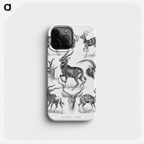 1-41_Ernst-Haeckel_phone