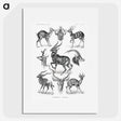 1-41_Ernst-Haeckel_picture