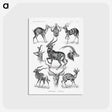 1-41_Ernst-Haeckel_postcard