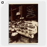 1-41_Eugene-Atget_picture-crop