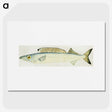 1-41_Frank-Edward-Clarke_picture