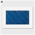 1-41_Furuya-Korin_picture