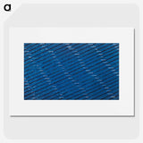 1-41_Furuya-Korin_picture