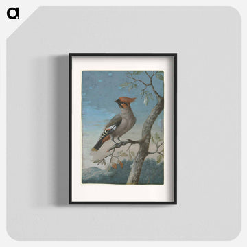 Bird Study
 - ジョージ エドワーズ Poster.