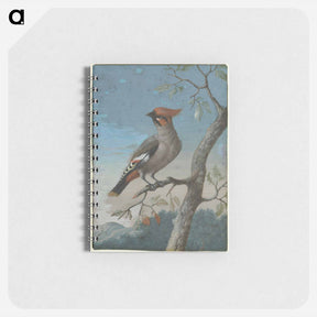アートメモ帳-Bird Study
 - ジョージ エドワーズ Memo.