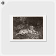 アートポストカード-A Tiger and a Sleeping Leopard
 - ジョージ スタッブス Postcard.