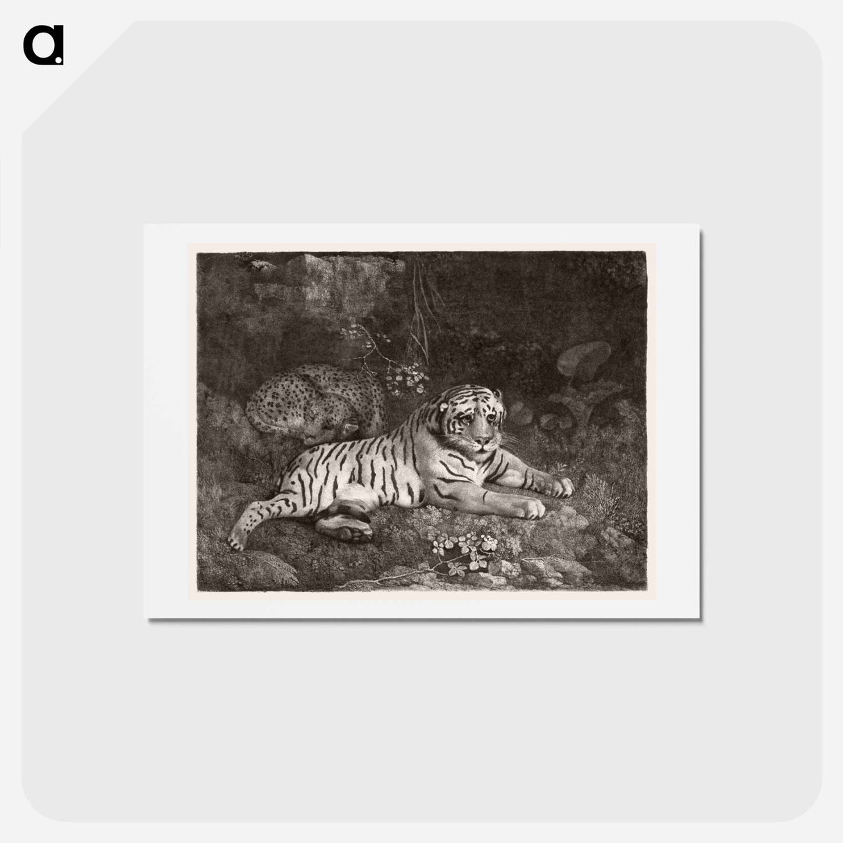 アートポストカード-A Tiger and a Sleeping Leopard
 - ジョージ スタッブス Postcard.