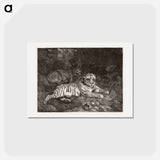 アートポストカード-A Tiger and a Sleeping Leopard
 - ジョージ スタッブス Postcard.