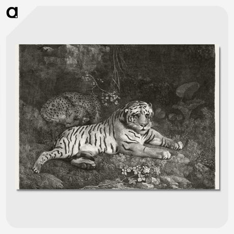 1-41_George-Stubbs_picture-crop
