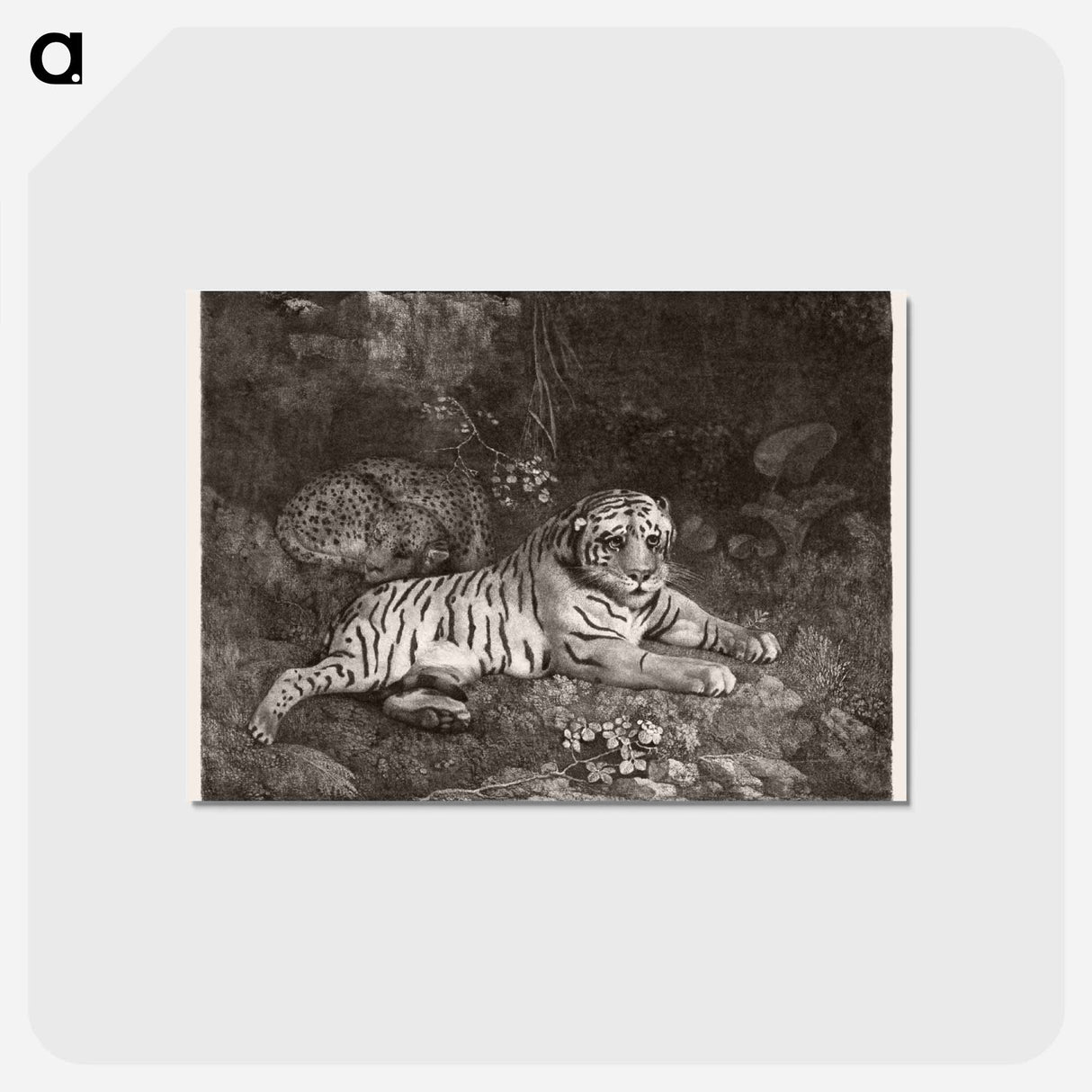 アートポストカード-A Tiger and a Sleeping Leopard
 - ジョージ スタッブス Postcard.